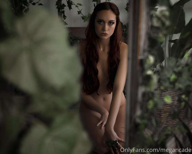adversariel image #1