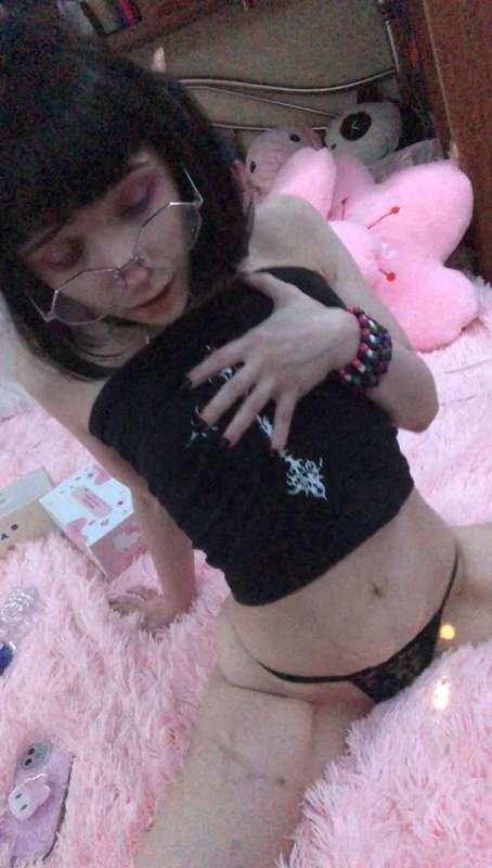 petiteroxie image #2