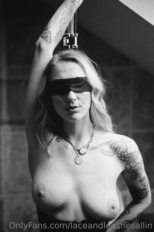 laceandleashesallin image #29