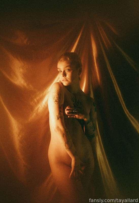 tayallard image #5