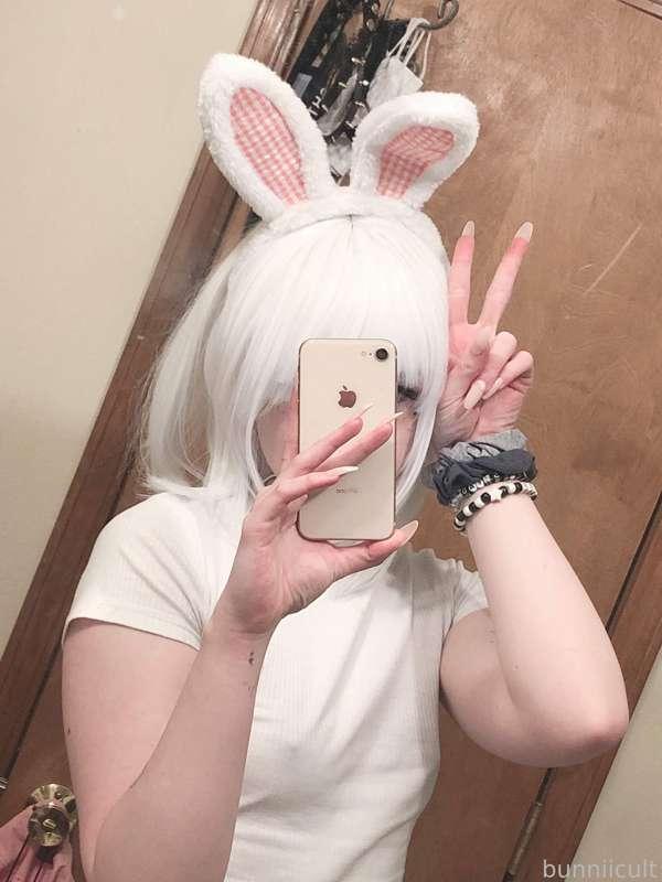 bunniicult image #35