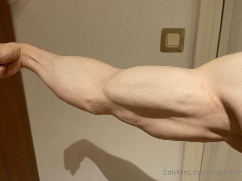 armzbro97 image #0