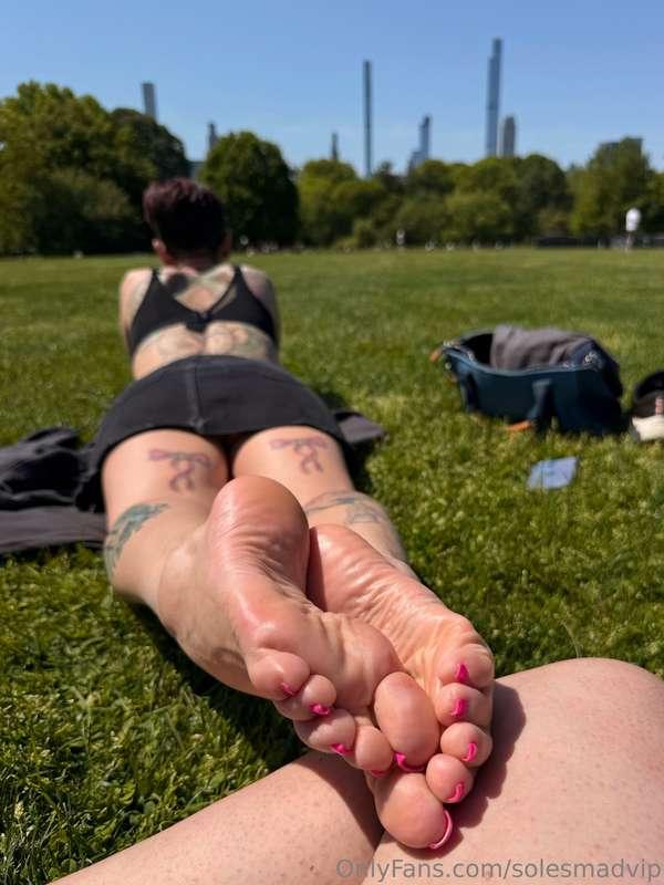 Find me in Central Park right now, do you like the views?