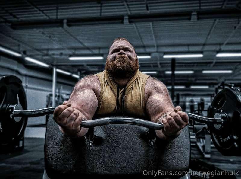 For the bicep  lovers. Im.really satiafied  with these 2 pho..
