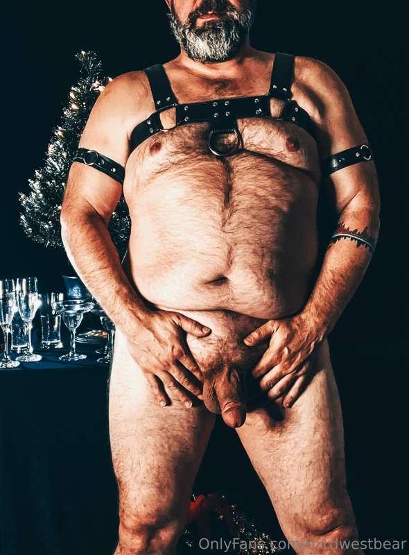 m1dwestbear image #1