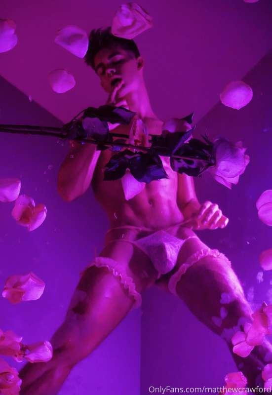 matthewcrawford image #2