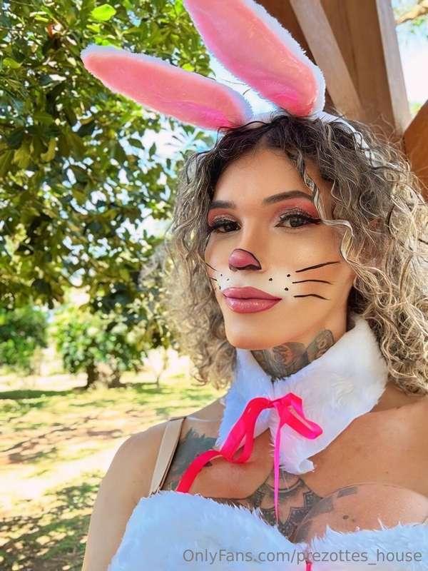 Happy Easter 🥕🥵🪺