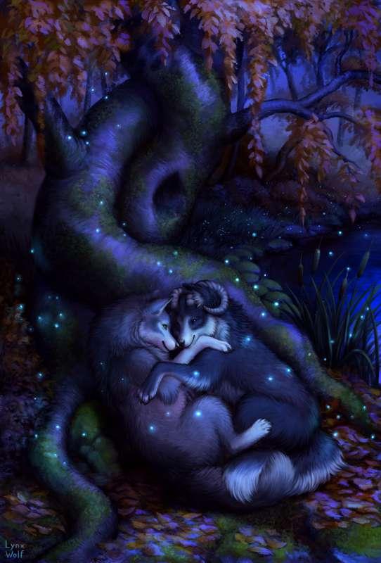 Night at the Roots