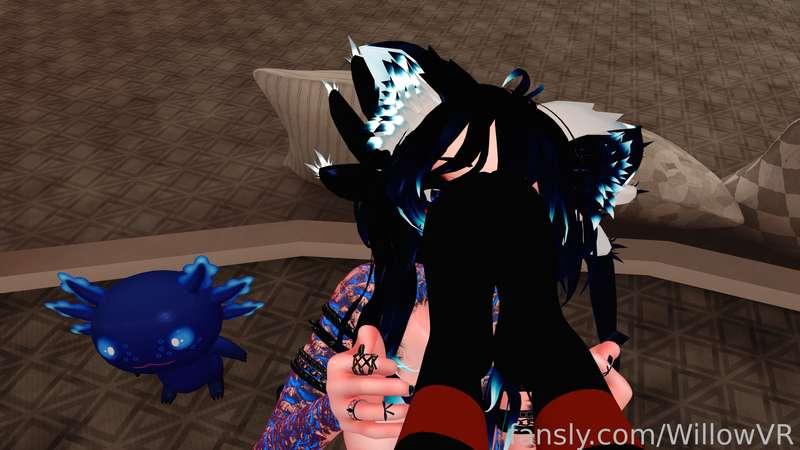 willowvr image #0