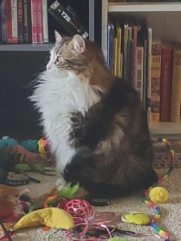 If I sit just right, I can make my floof create the illusion..
