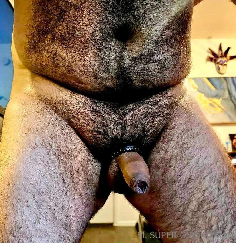 My new cock ring. U like ?