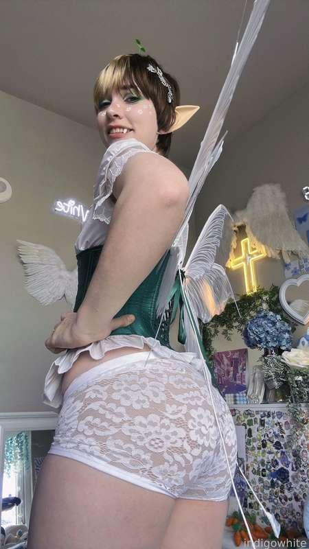 indigowhite image #462