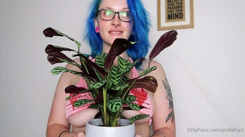 Hey I just wanted to show you my cool plant 🌿

Absolutely no..