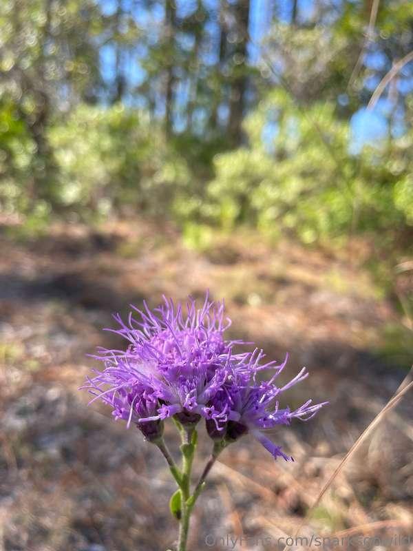 Yay flowers 💐😍🦋🥹 I love capturing nature’s beauty to share w..