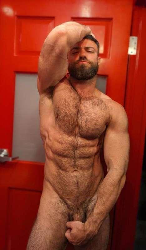 freeboygym image #2
