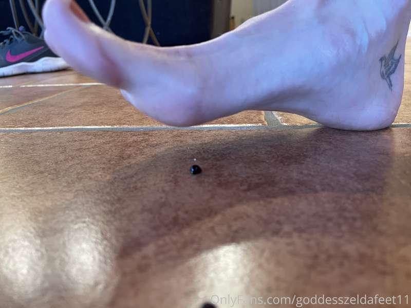 goddesszeldafeet11 image #13