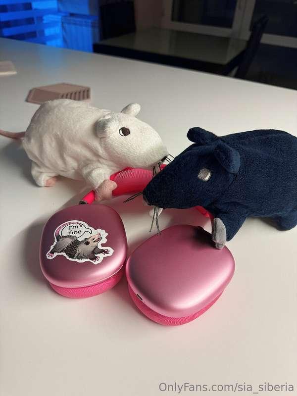 This photo is for the owner of my rented apartment, in case ..
