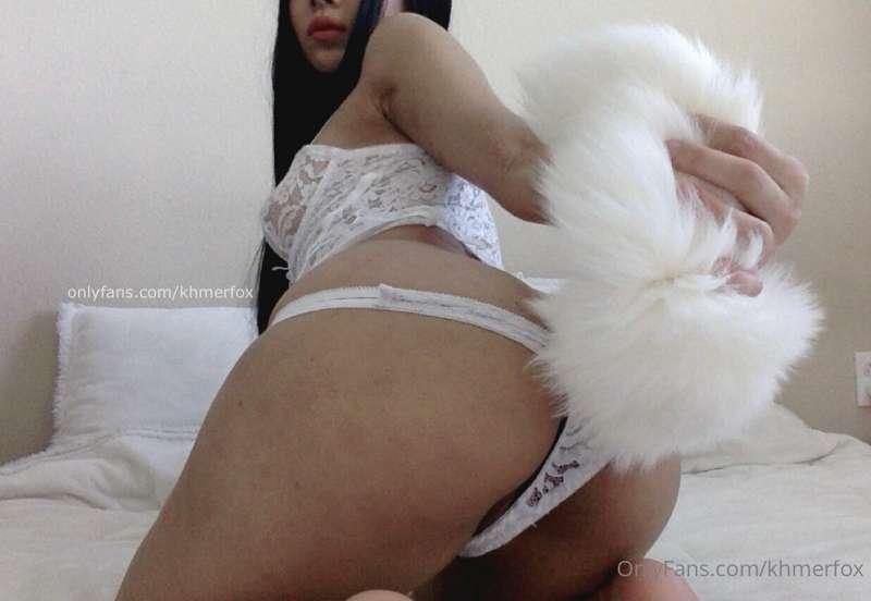 you know how to make my tail wag 🐾