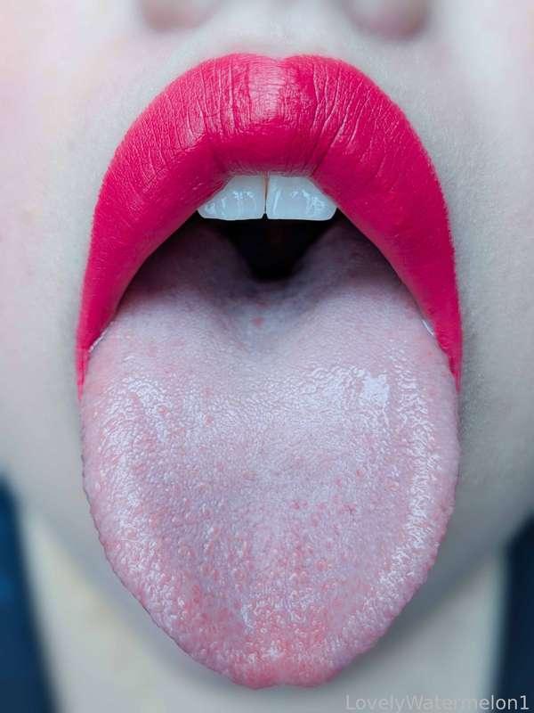 lovelywatermelon1 image #8