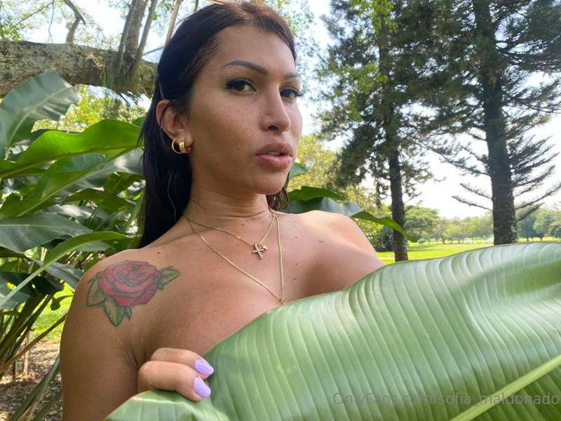 Eve in the garden of evil
... looking to get fucked hard 🍎🐍