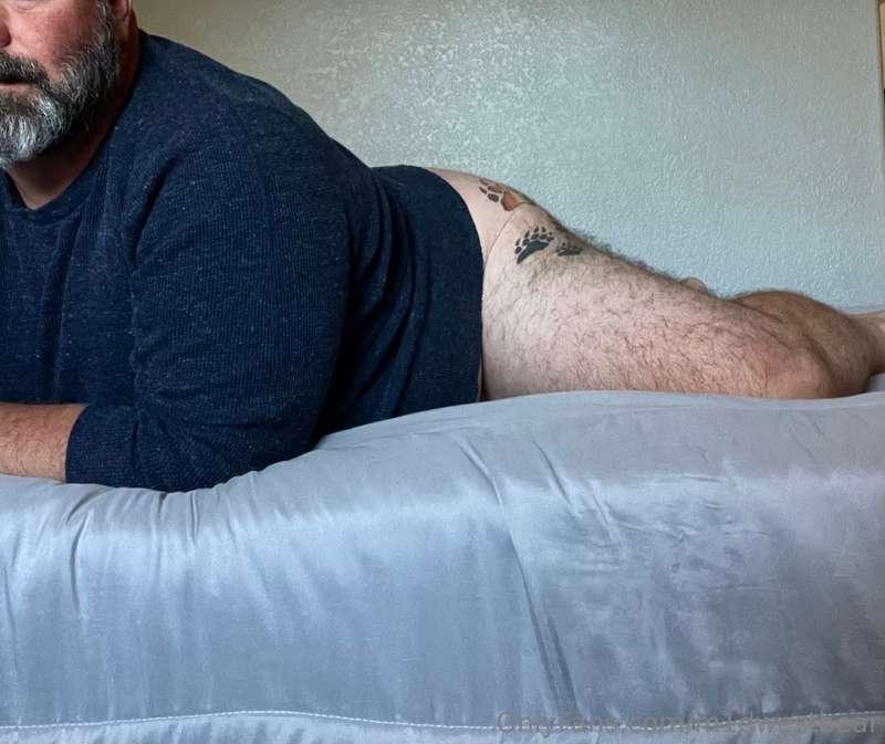 m1dwestbear image #2