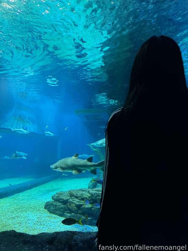 I recently went to the aquarium, I forgot to tell you about it &gt;&lt; I really liked it there, I was at the aquarium in Russia and I liked it, but there are a lot more animals here and what I remember most is that I saw REAL live penguins, they are so cute in real life 🥰 I also decided to sit in 3d glasses, I was shown diving and traveling underwater with sharks, I wanted to honestly try this in real life, it seems to me that these are unreal emotions 😭🙏🏻

⛧ #gfe #pale #tattoo #smile #piercing #life #food #lifestyle #travel #dreams ⛧