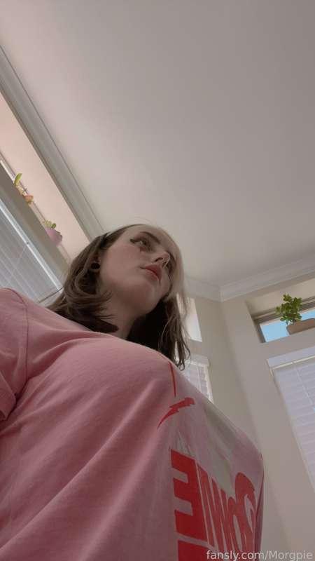 morgpie image #2