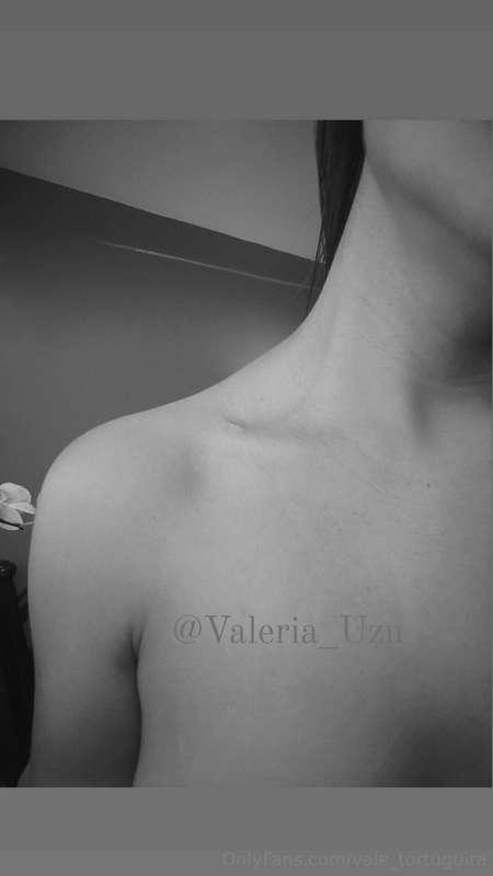 vale_tortuguita main image