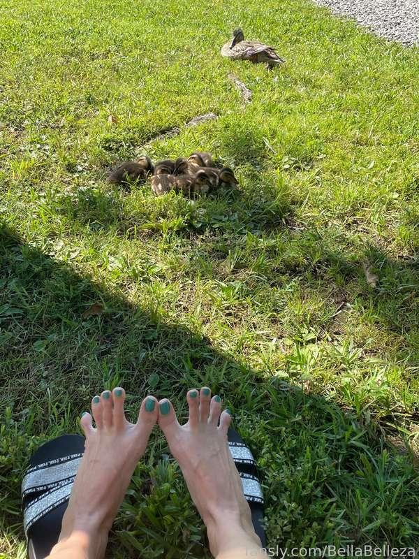 bellabelleza image #2