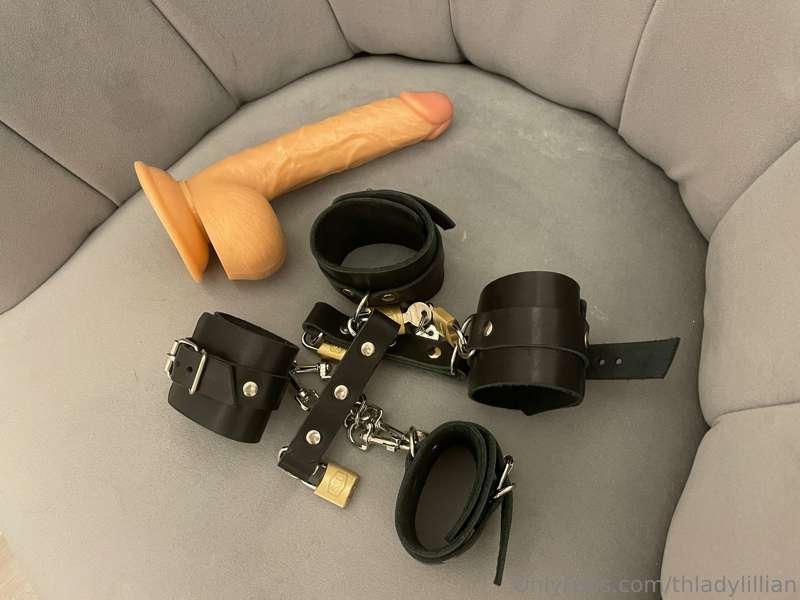 How would you like to play with me today?