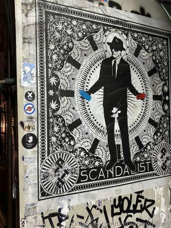 therealveggieboy image #6