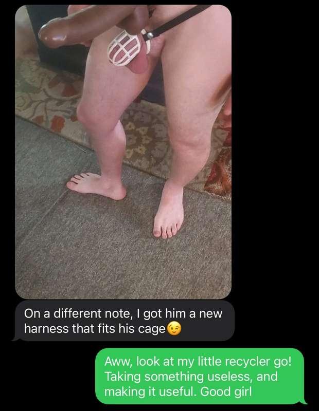 Megan D4: More texts