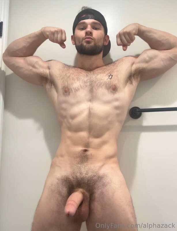 alphazack image #3