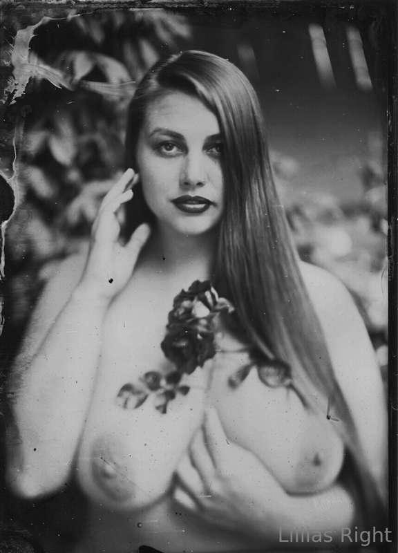Wet Plate
Tip if you love vintage photography!

Photo by Cor..