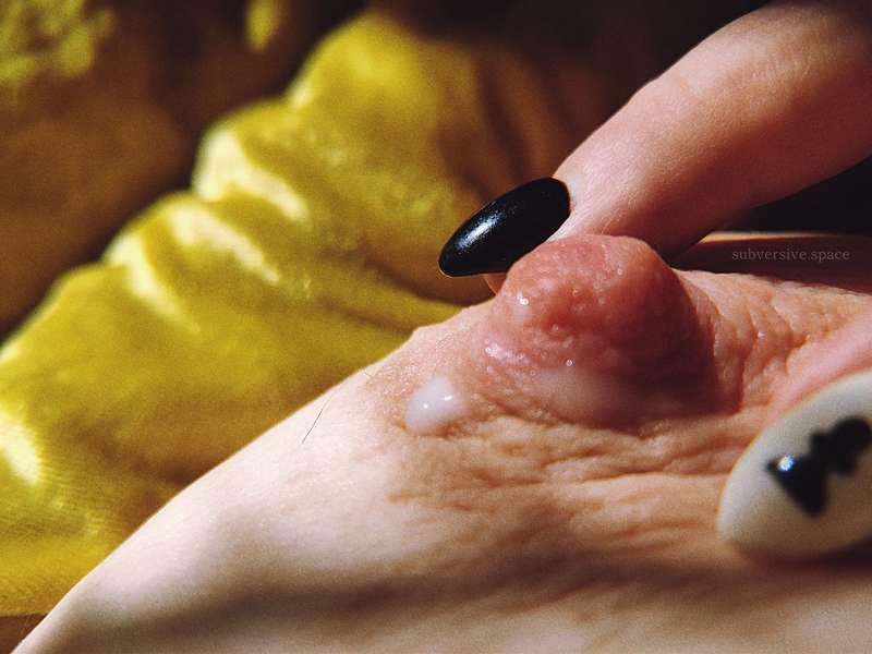 narratophile image #5