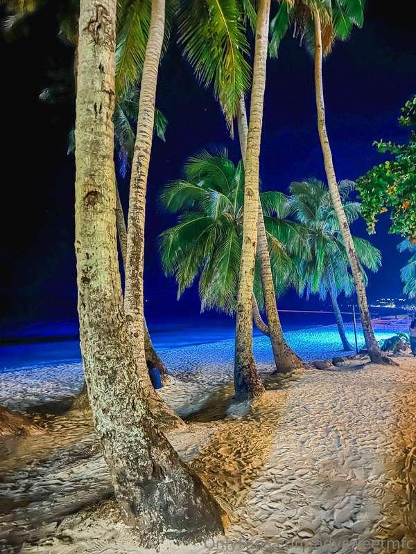 Wanna come on a little evening walk on the beach with me?