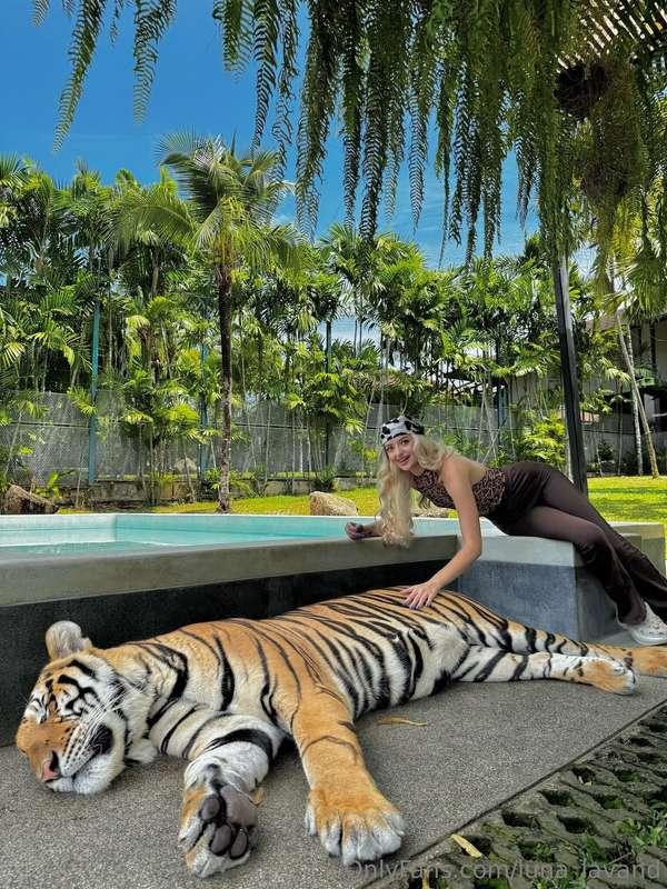 Big kitty, very big kitty.... 😻