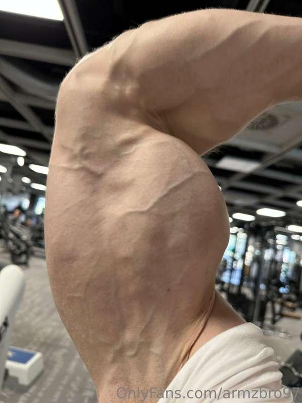 armzbro97 image #0