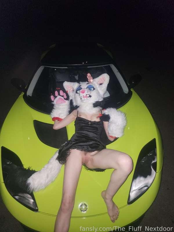 the_fluff_nextdoor image #12