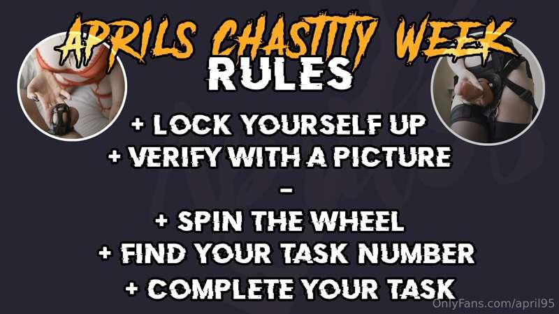 chastity_april image #1