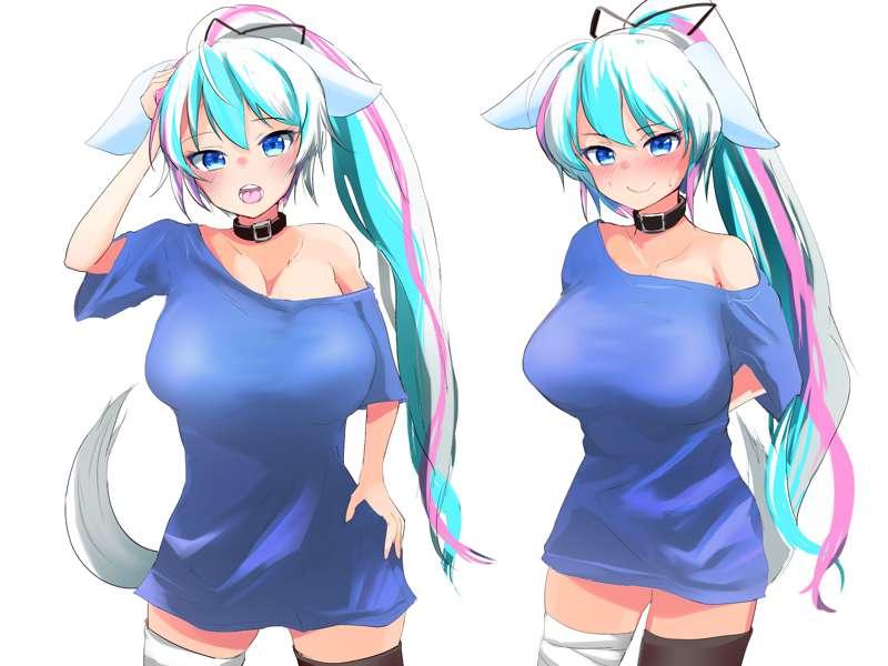 Curves and Coomfy