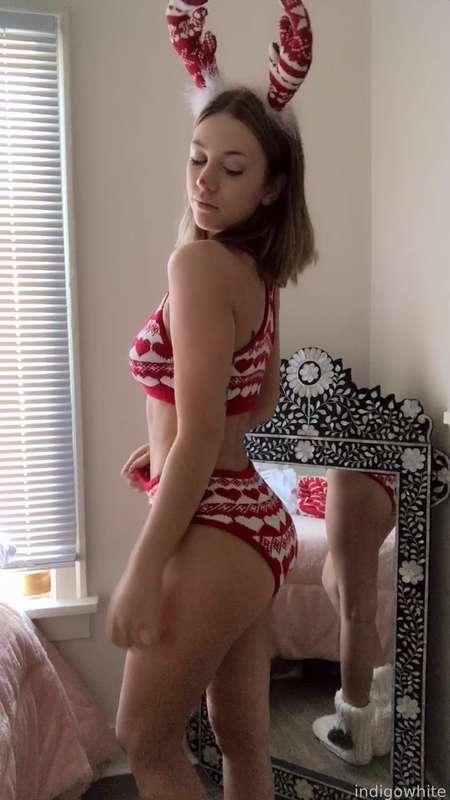 indigowhite image #253