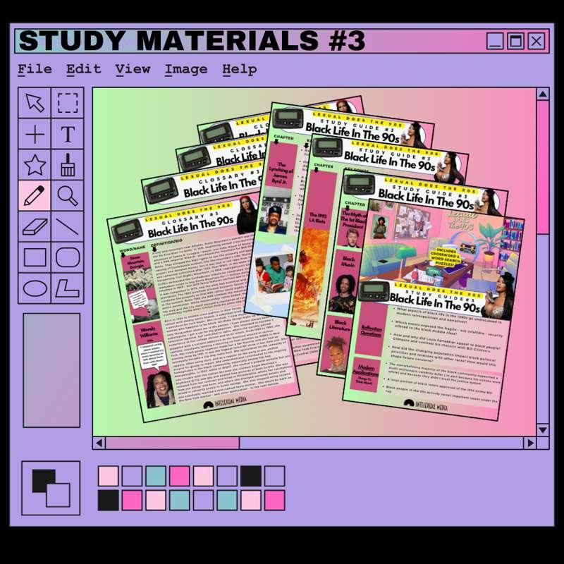 Nineties Study Guide and Glossary #3
