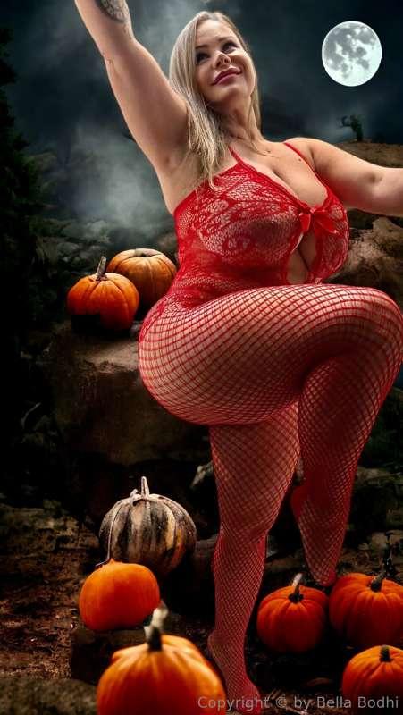 🎃🎃🎃🎃🎃