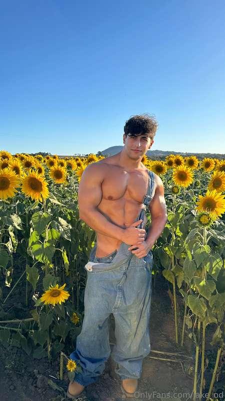 jake_od image #6
