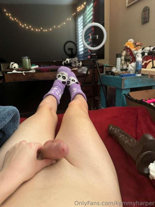 kymmyharper image #14