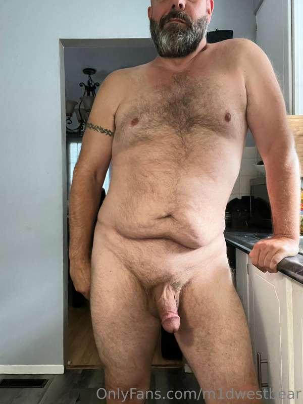 m1dwestbear image #9