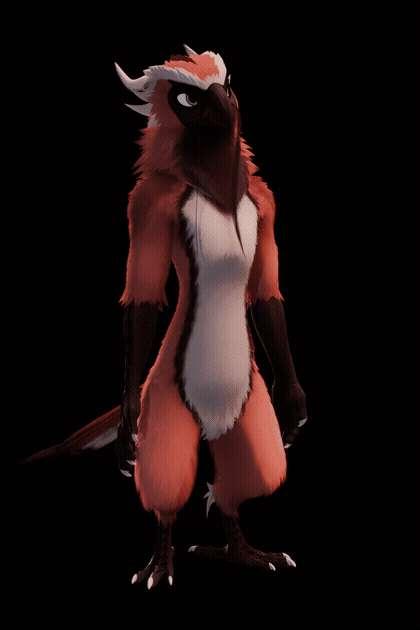 The Completed Birb