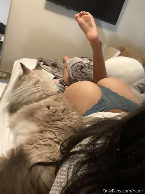 Using this cat butt pic to remind you guys to turn on your a..
