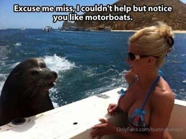 motor boating is under rates, true or false?
